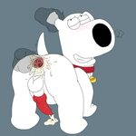 Rule34 - If it exists, there is porn of it / brian griffin /